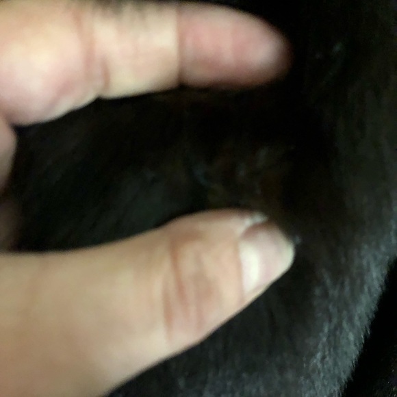 Custom Made Mink Jacket - Picture 4 of 7